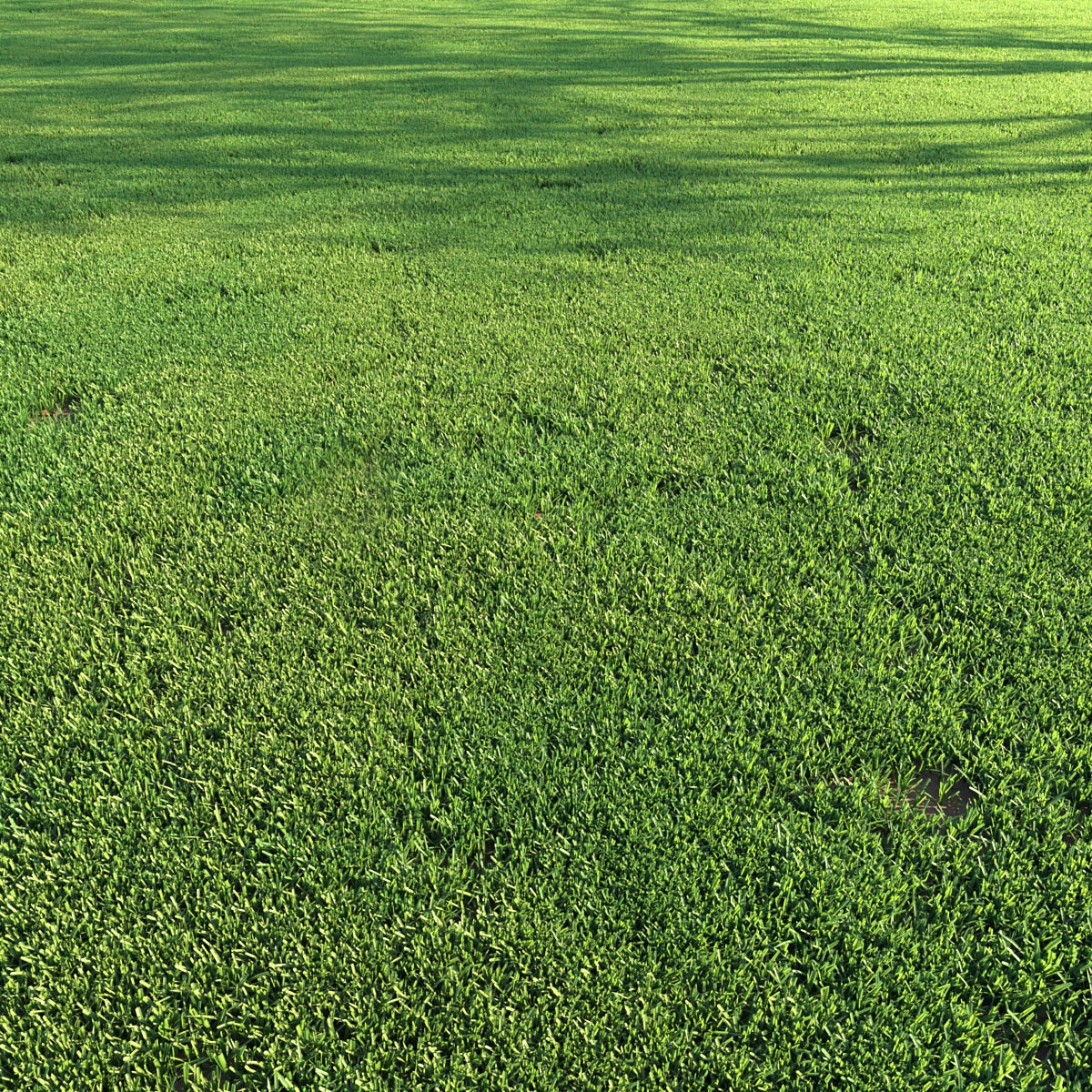 Grass Set 01 3D model_2