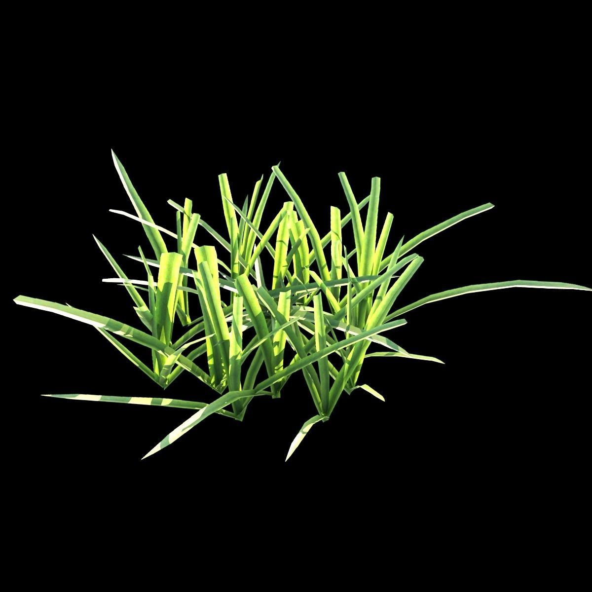 Grass Set 01 3D model_12