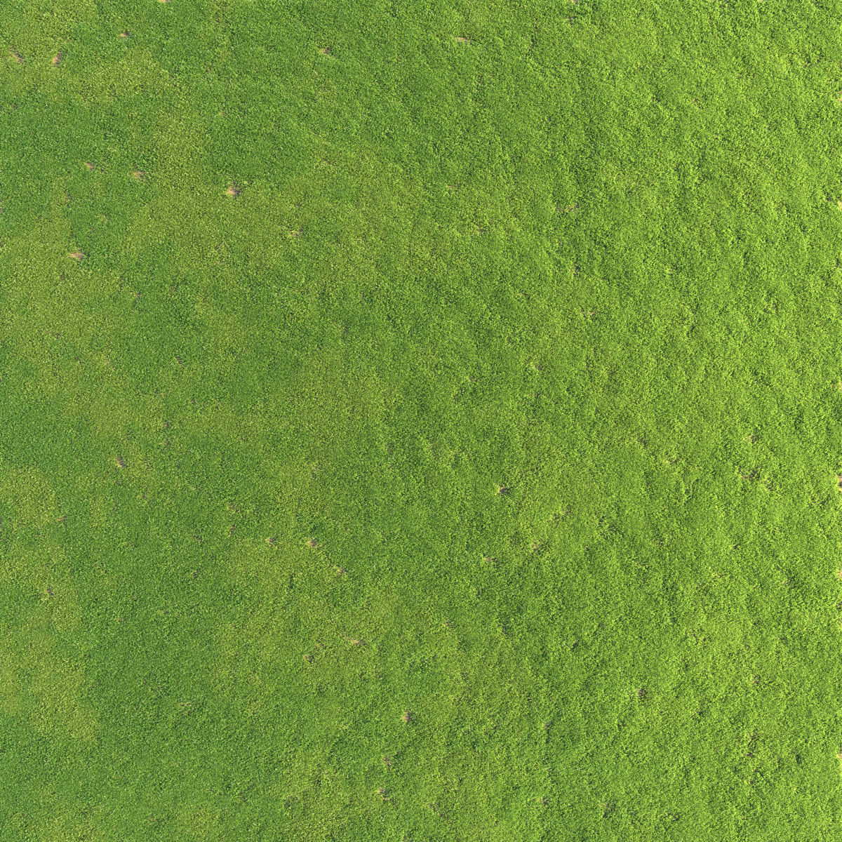 Grass Set 01 3D model_5