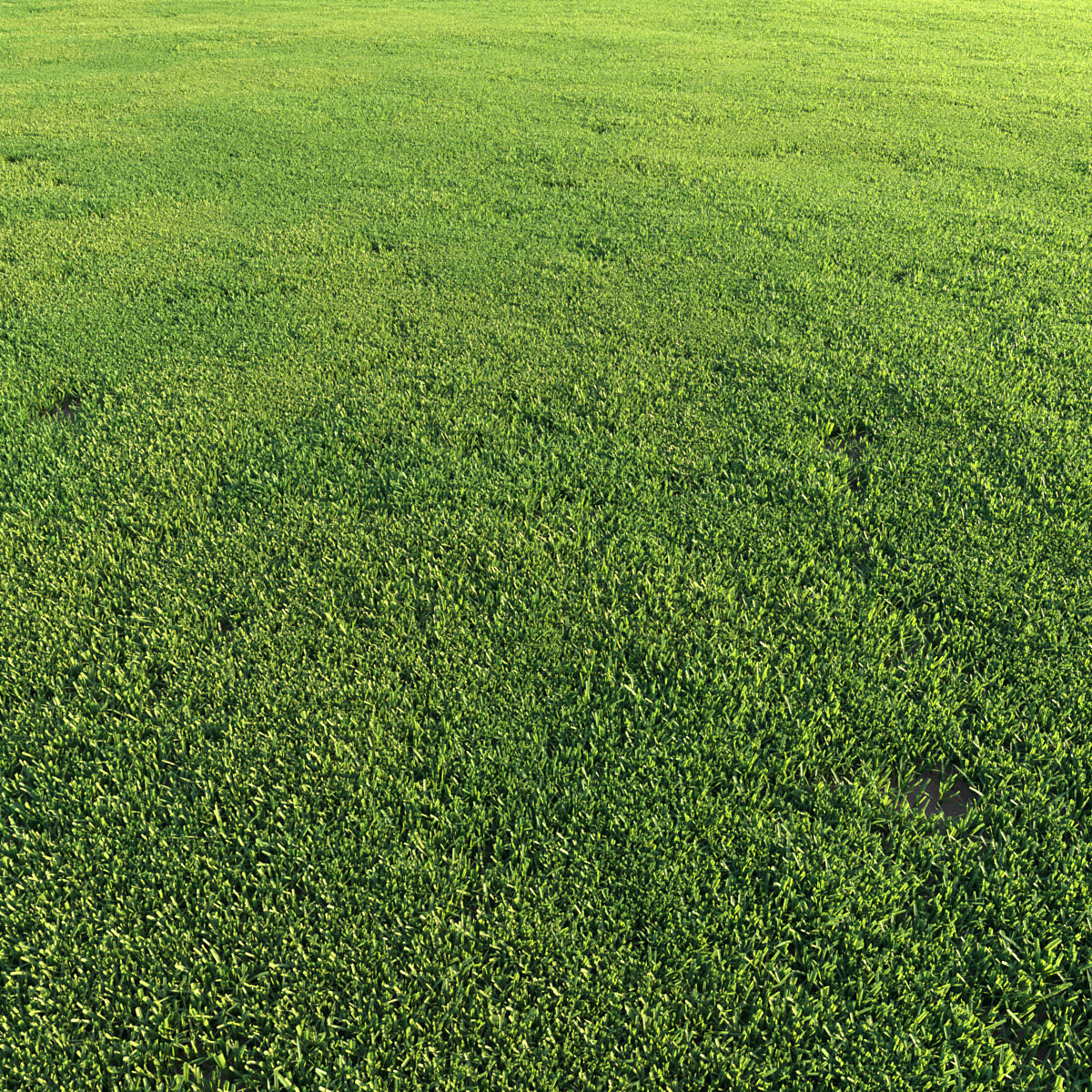 Grass Set 01 3D model_3