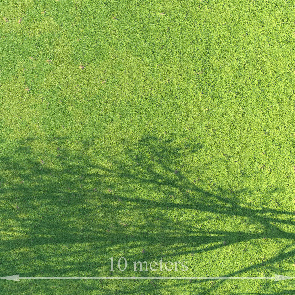 Grass Set 01 3D model_4