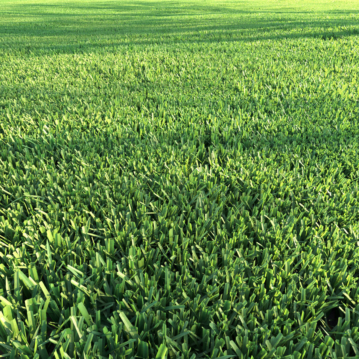 Grass Set 01 3D model_1