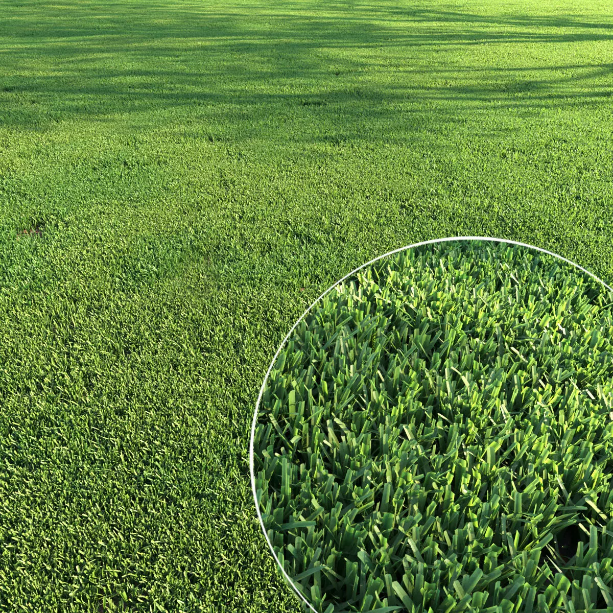 Grass Set 01 3D model_0