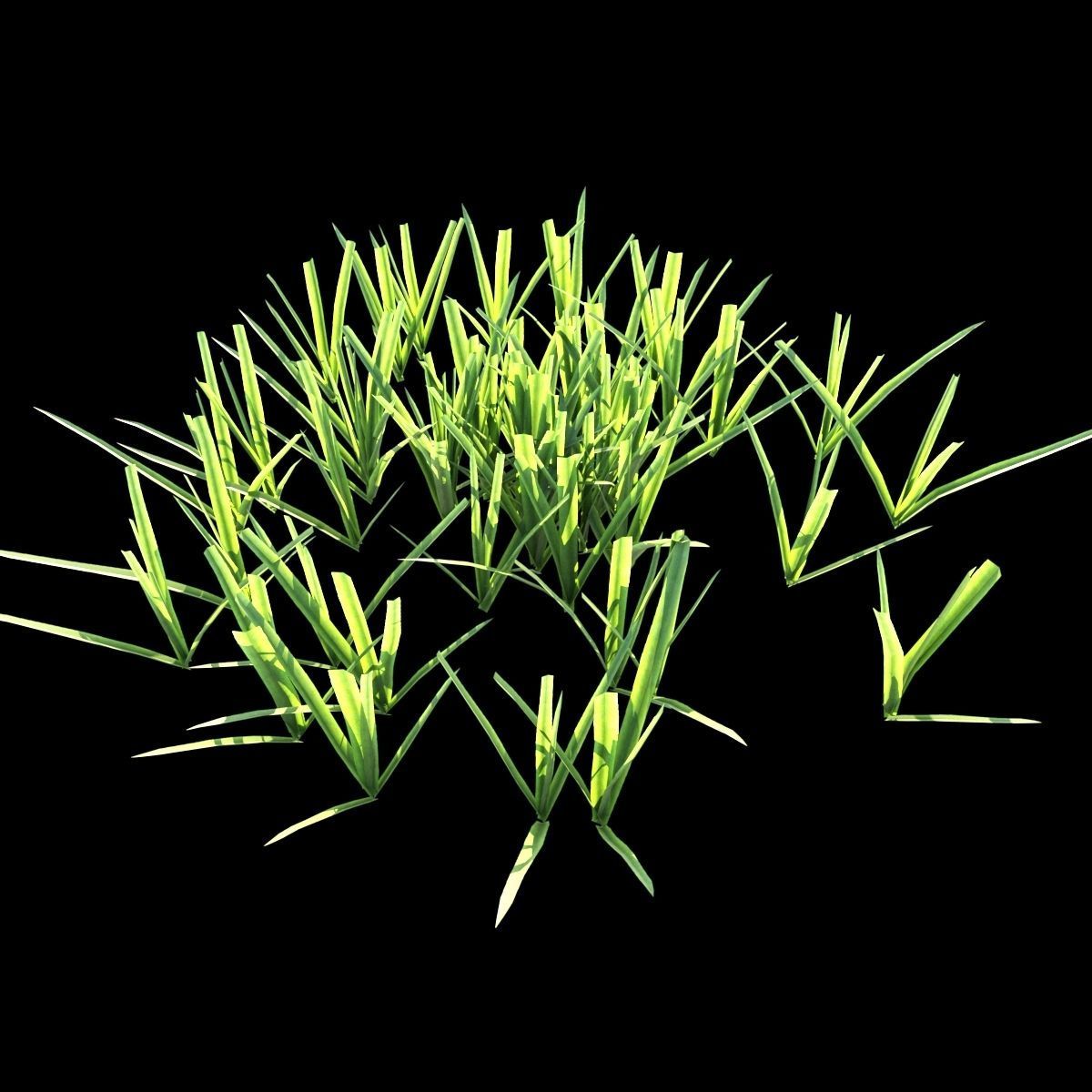 Grass Set 01 3D model_10