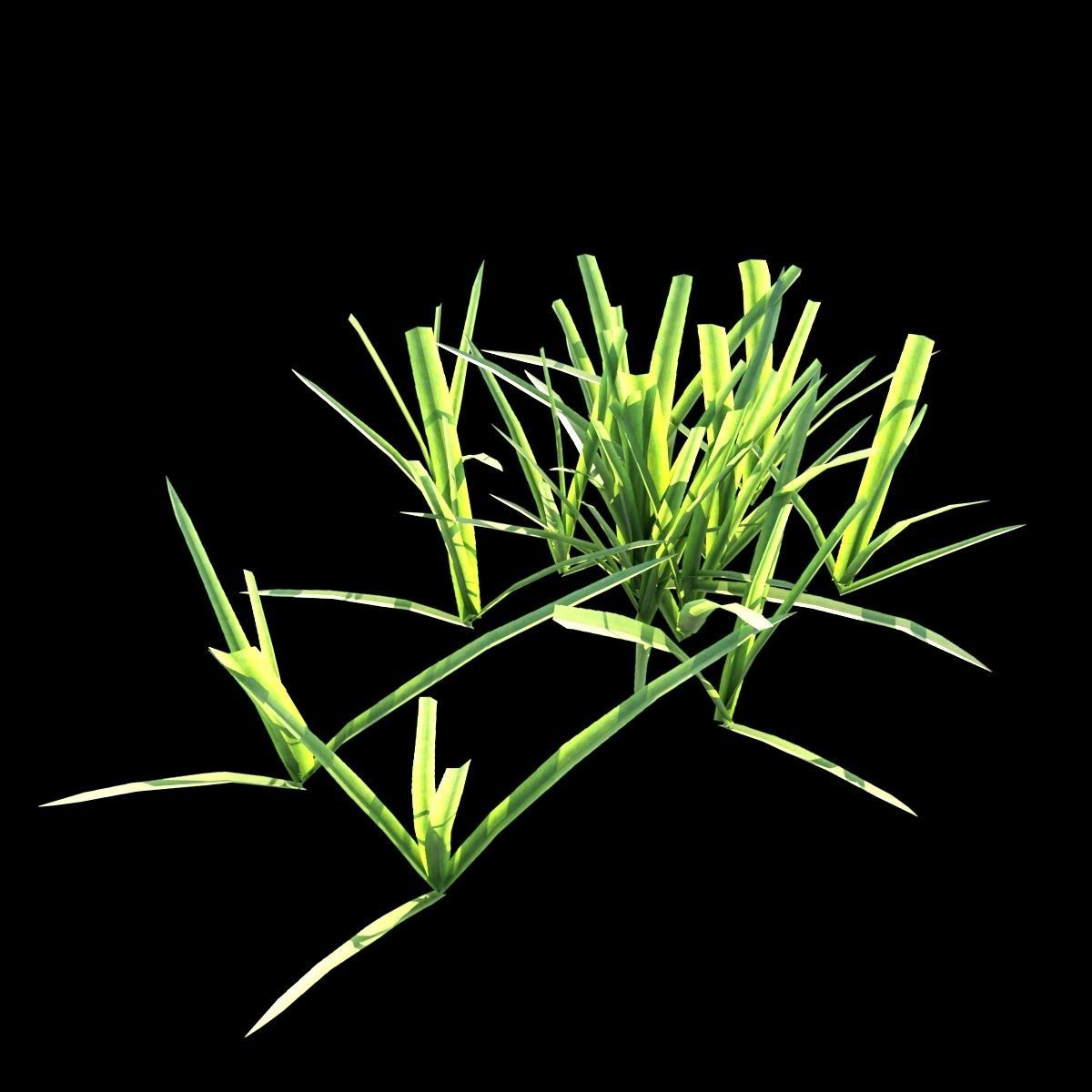 Grass Set 01 3D model_13