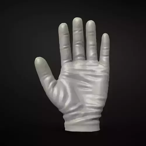 Glove - 3D Model