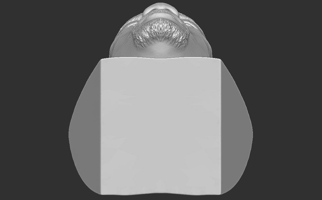 Kevin Hart bust 3D printing ready stl obj formats 3D print model_22