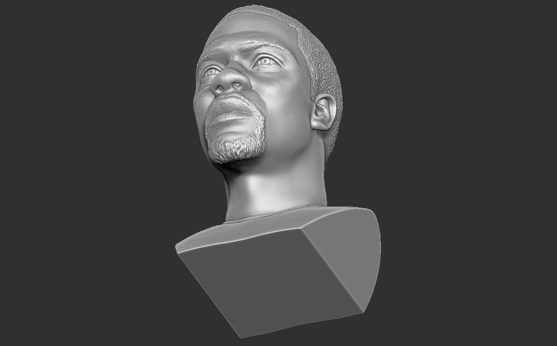 Kevin Hart bust 3D printing ready stl obj formats 3D print model_21