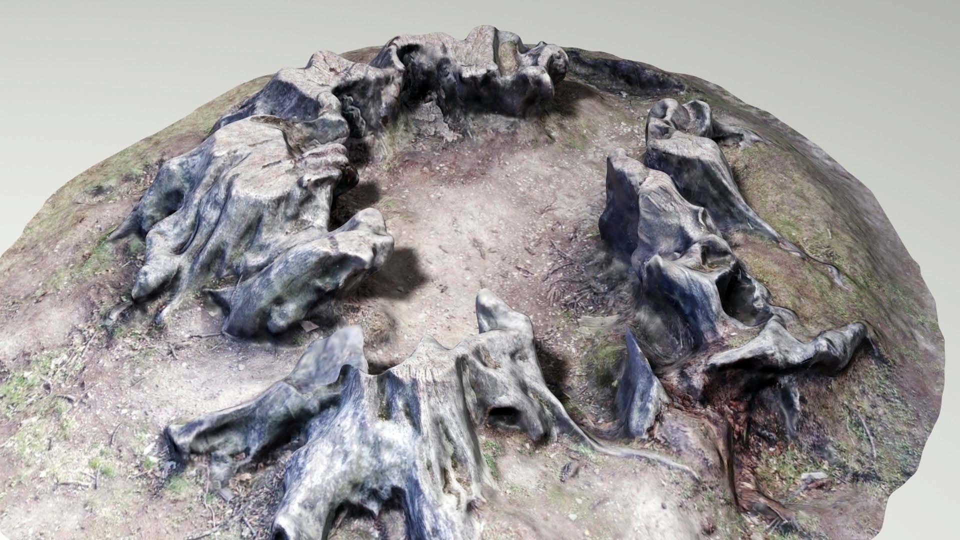 Tree Stump  - Old Rotten - Low-Poly Photo Scan Photogrammetry Low-poly 3D model_1