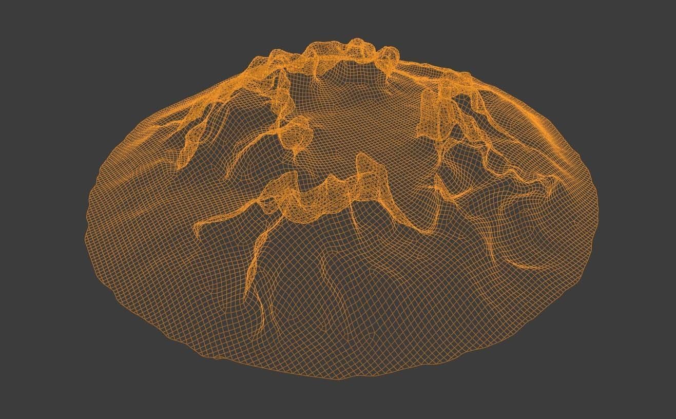 Tree Stump  - Old Rotten - Low-Poly Photo Scan Photogrammetry Low-poly 3D model_4