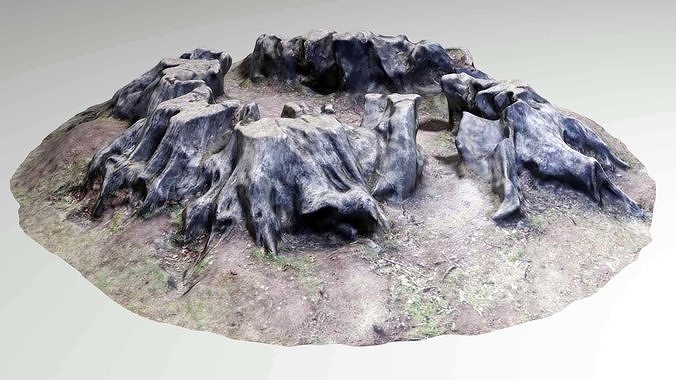 Tree Stump  - Old Rotten - Low-Poly Photo Scan Photogrammetry Low-poly 3D model