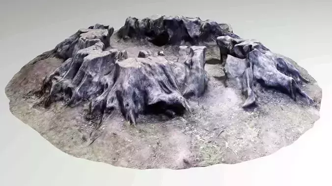 Tree Stump  - Old Rotten - Low-Poly Photo Scan Photogrammetry Low-poly 3D model