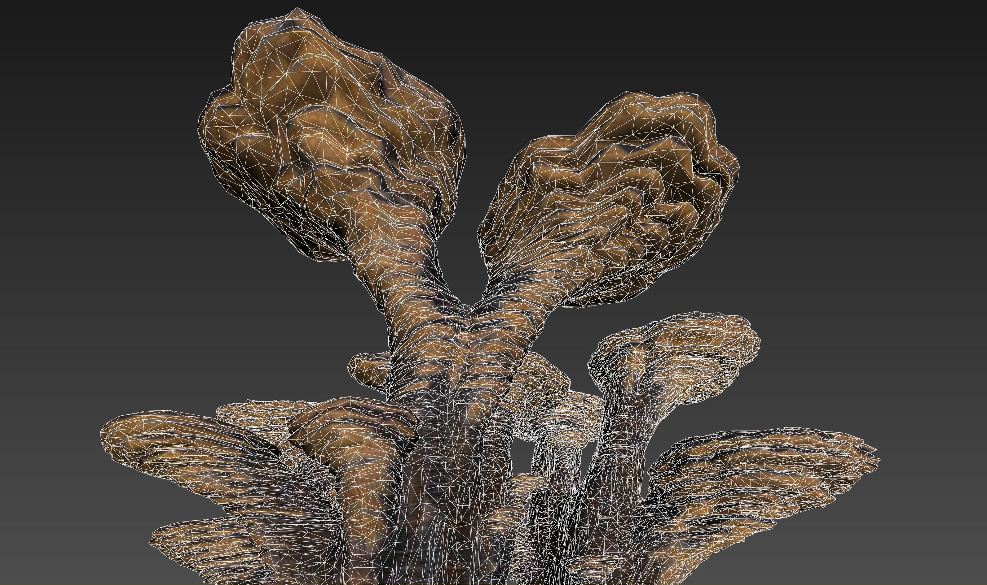 Alien Plant Mushroom Type 3 3D model_30