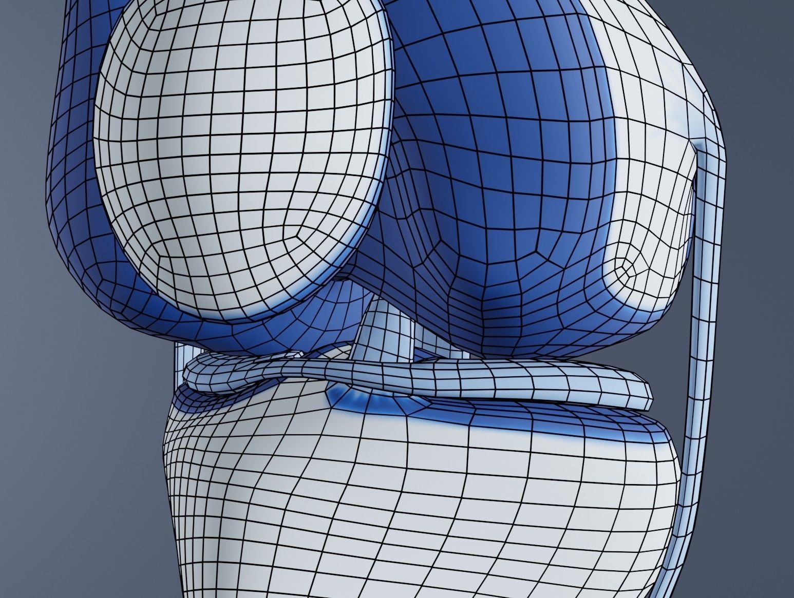 Knee Joint 3D model_12