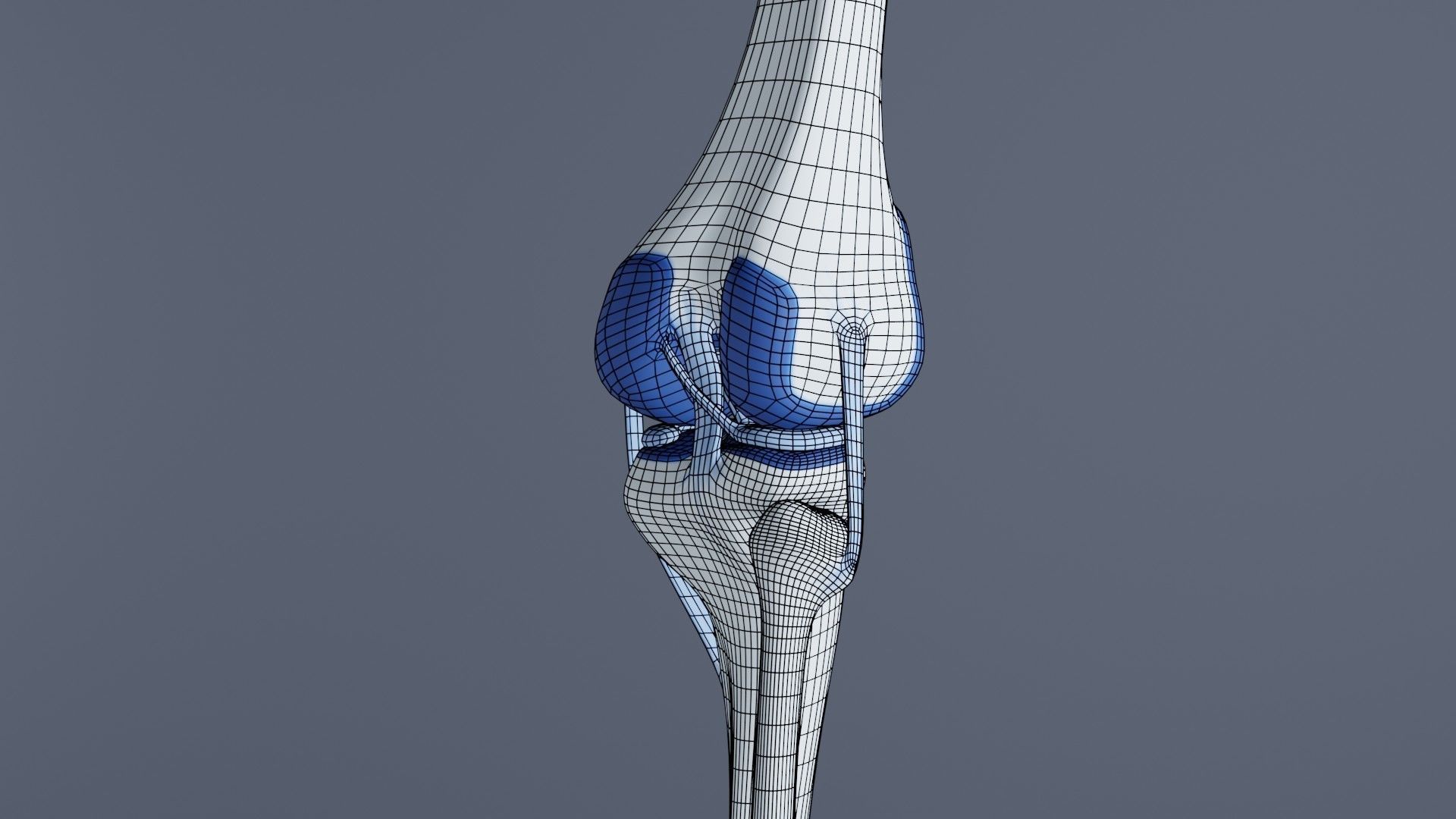 Knee Joint 3D model_29