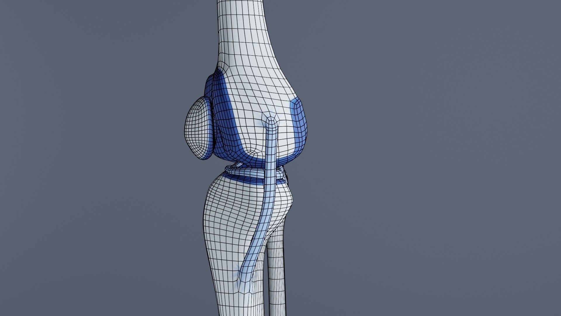 Knee Joint 3D model_31