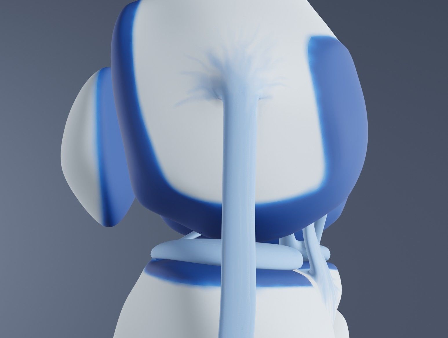 Knee Joint 3D model_17