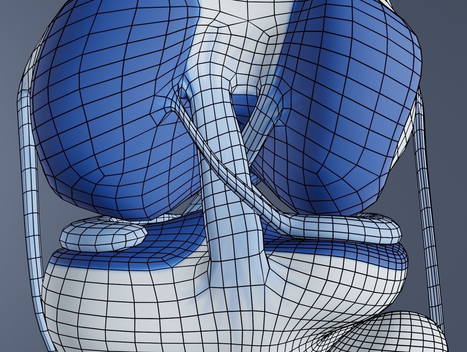 Knee Joint 3D model_14