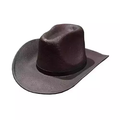 Cowboy Leather Hat 