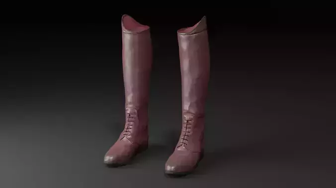 Field Riding Boots with Variation