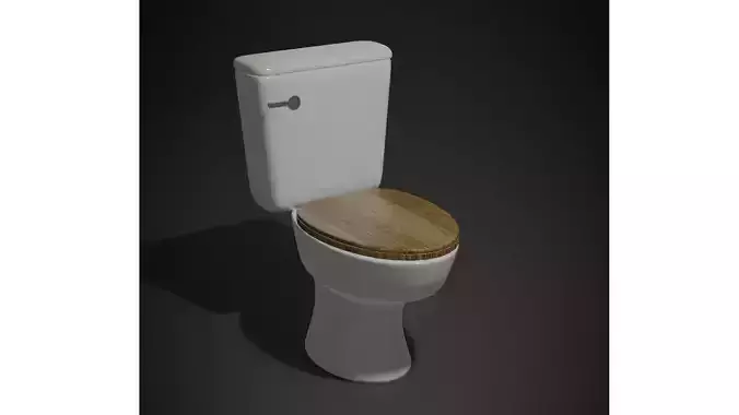 Classic porcelain toilet