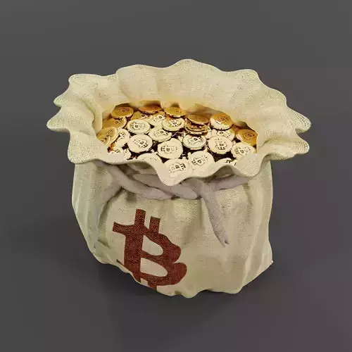 Bitcoin Money Bag