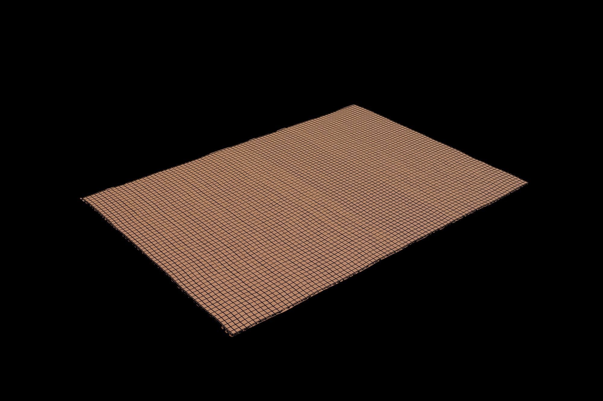 Kilkenny Rug 3D model_2