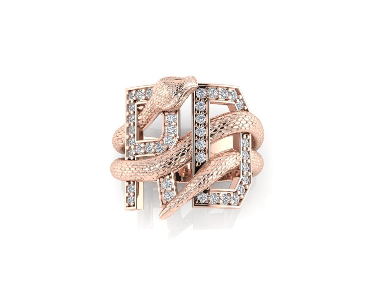 Rung 159 Snake 3D print model_1