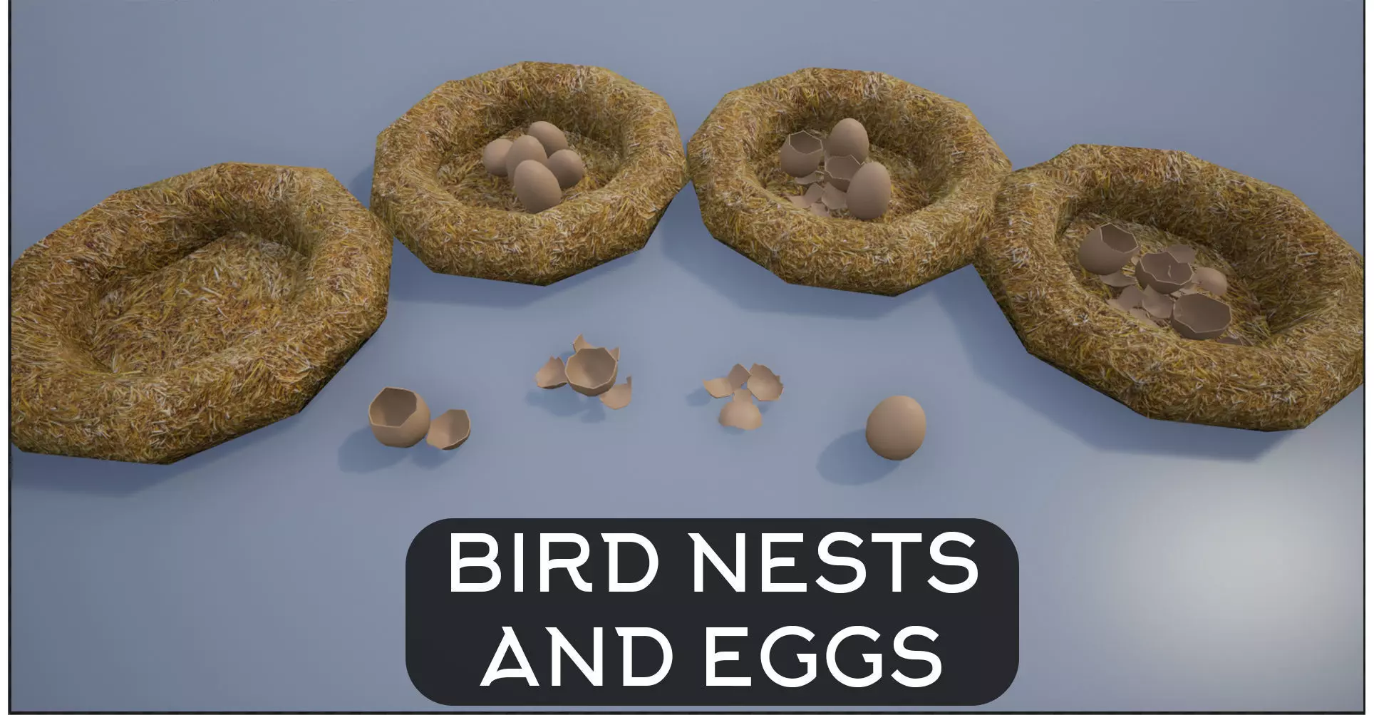 Birdnests and Eggs hatched and remains Low-poly 3D model_0