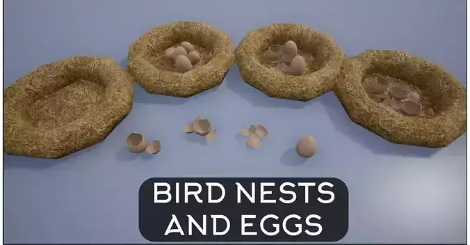 Birdnests and Eggs hatched and remains Low-poly 3D model