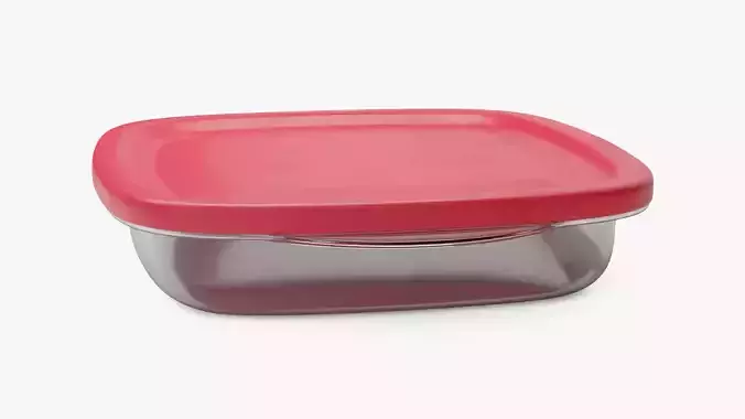 Medium Food Container 4