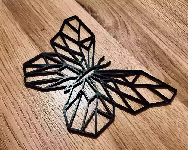 Geometric Butterfly