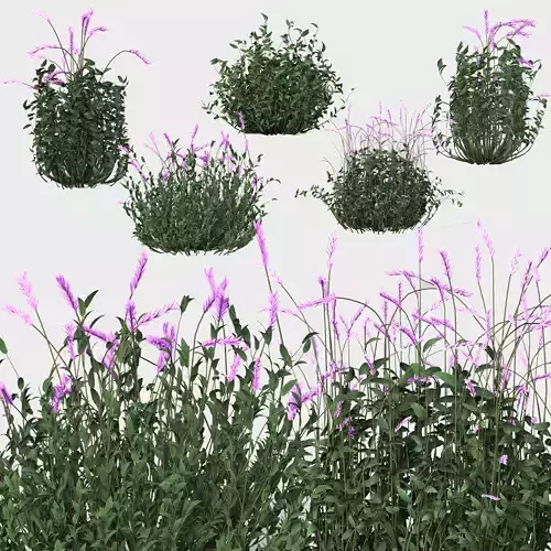 5 Type of Out door Bush Set vol