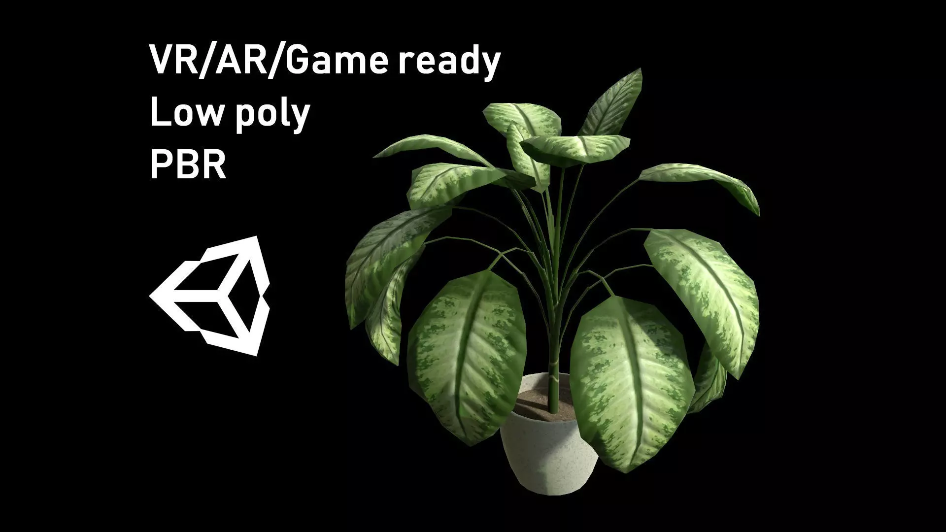 Houseplant Dieffenbachia Lowpoly model Low-poly 3D model