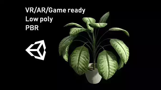 Houseplant Dieffenbachia Lowpoly model