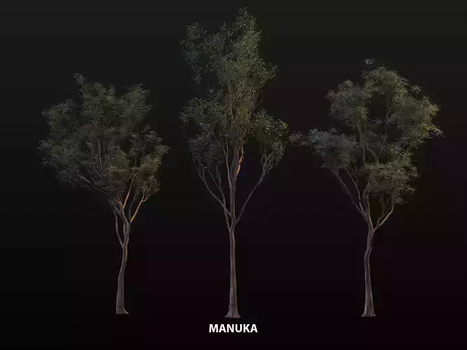 NZ manuka tree pack