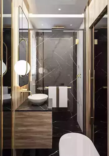 Luxury Bathroom 