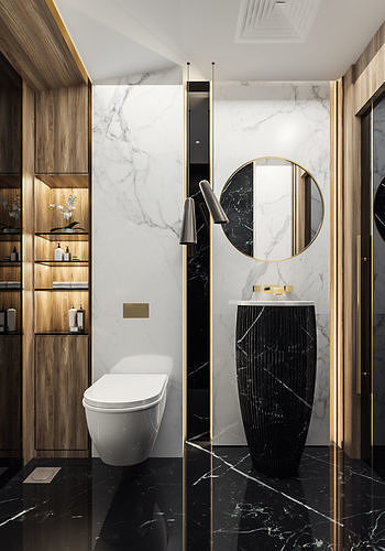Guest Bathroom in Luxury style 3D model