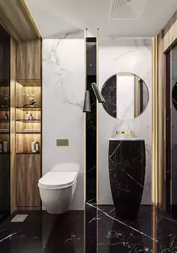 Guest Bathroom in Luxury style 3D model