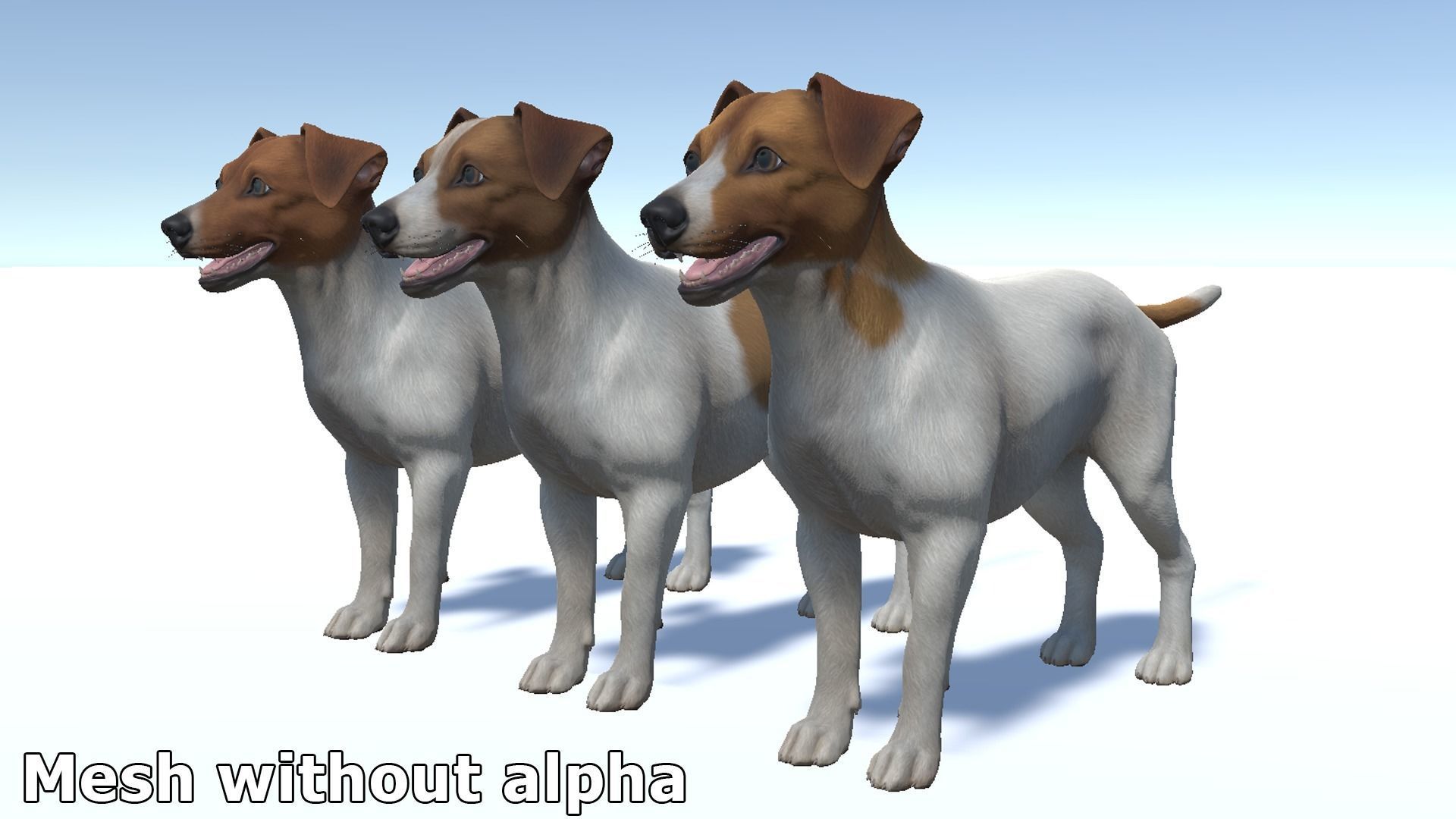Dog - Jack Russell Terrier Low-poly 3D model_12