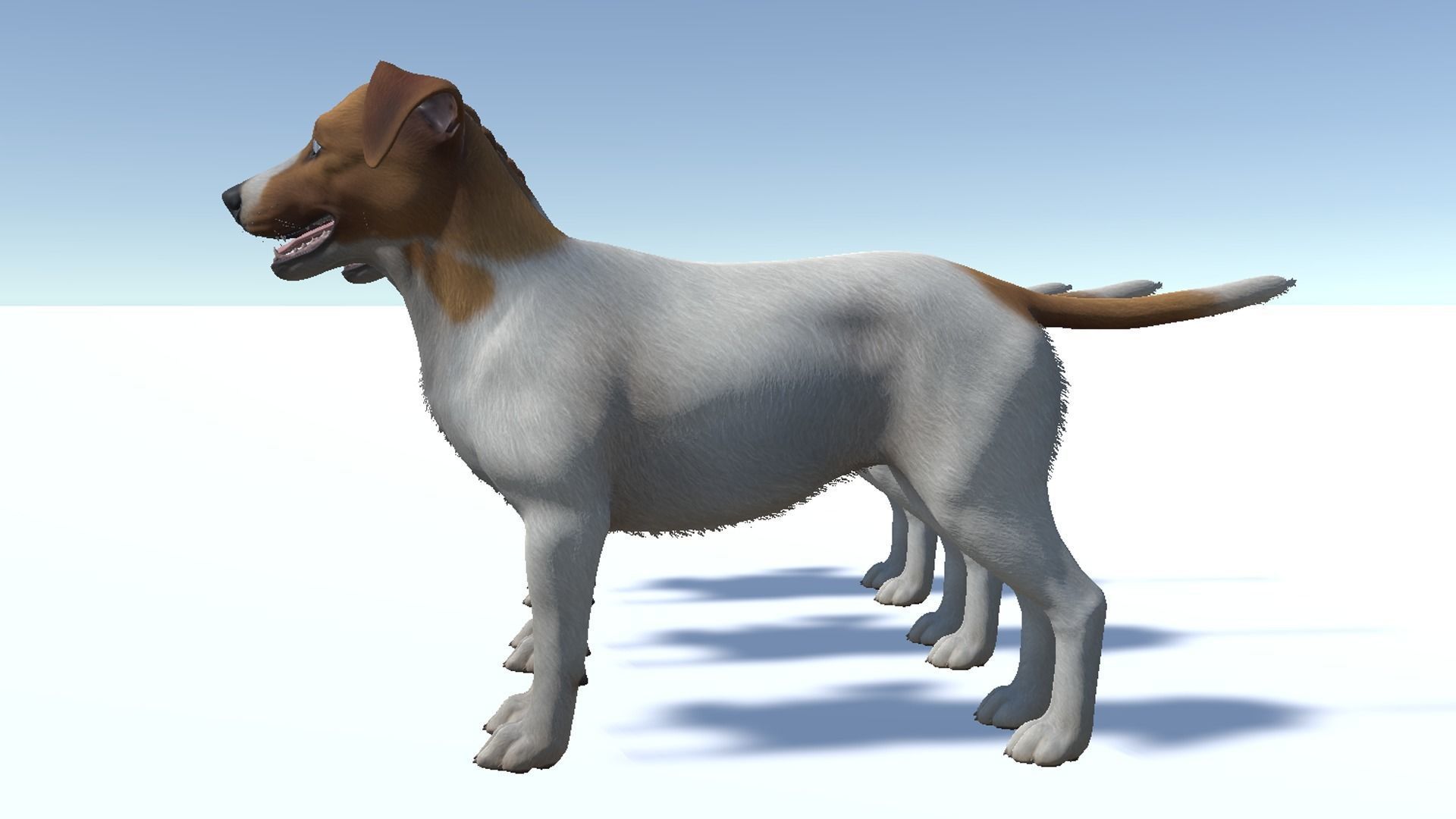 Dog - Jack Russell Terrier Low-poly 3D model_10
