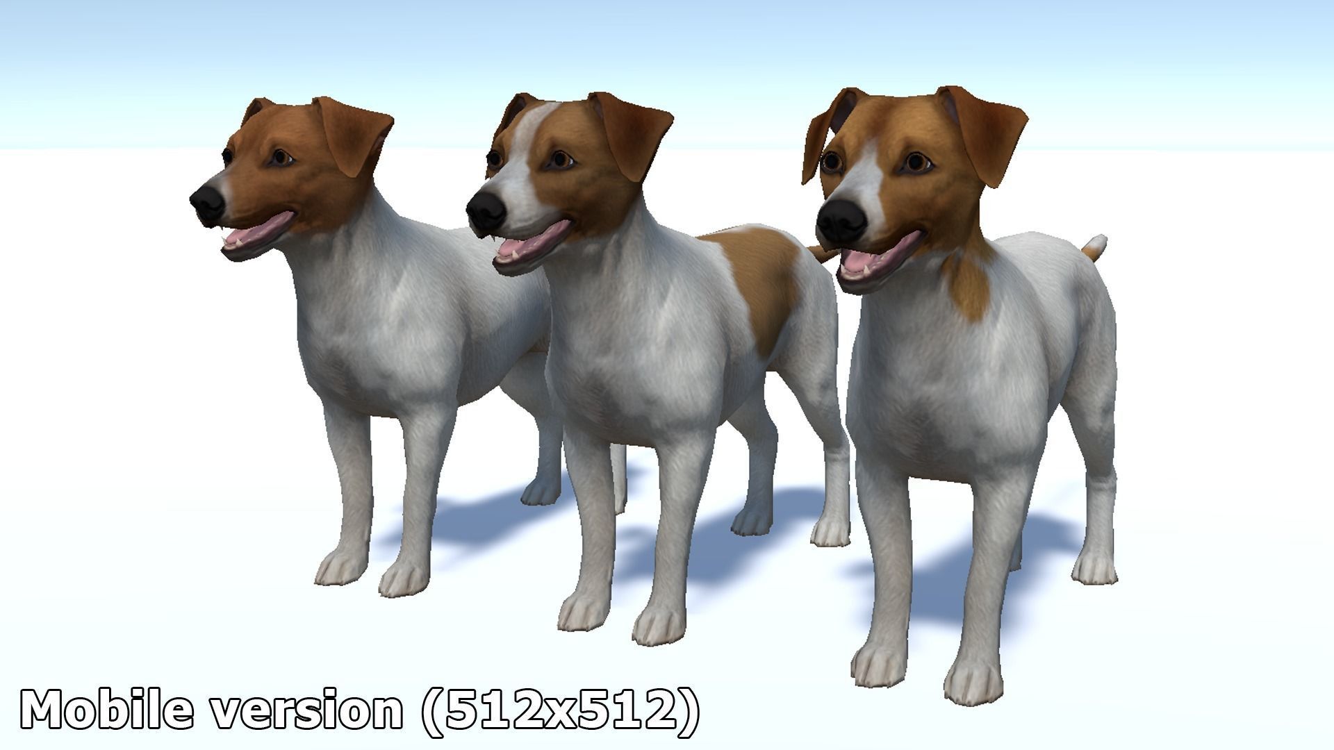 Dog - Jack Russell Terrier Low-poly 3D model_13