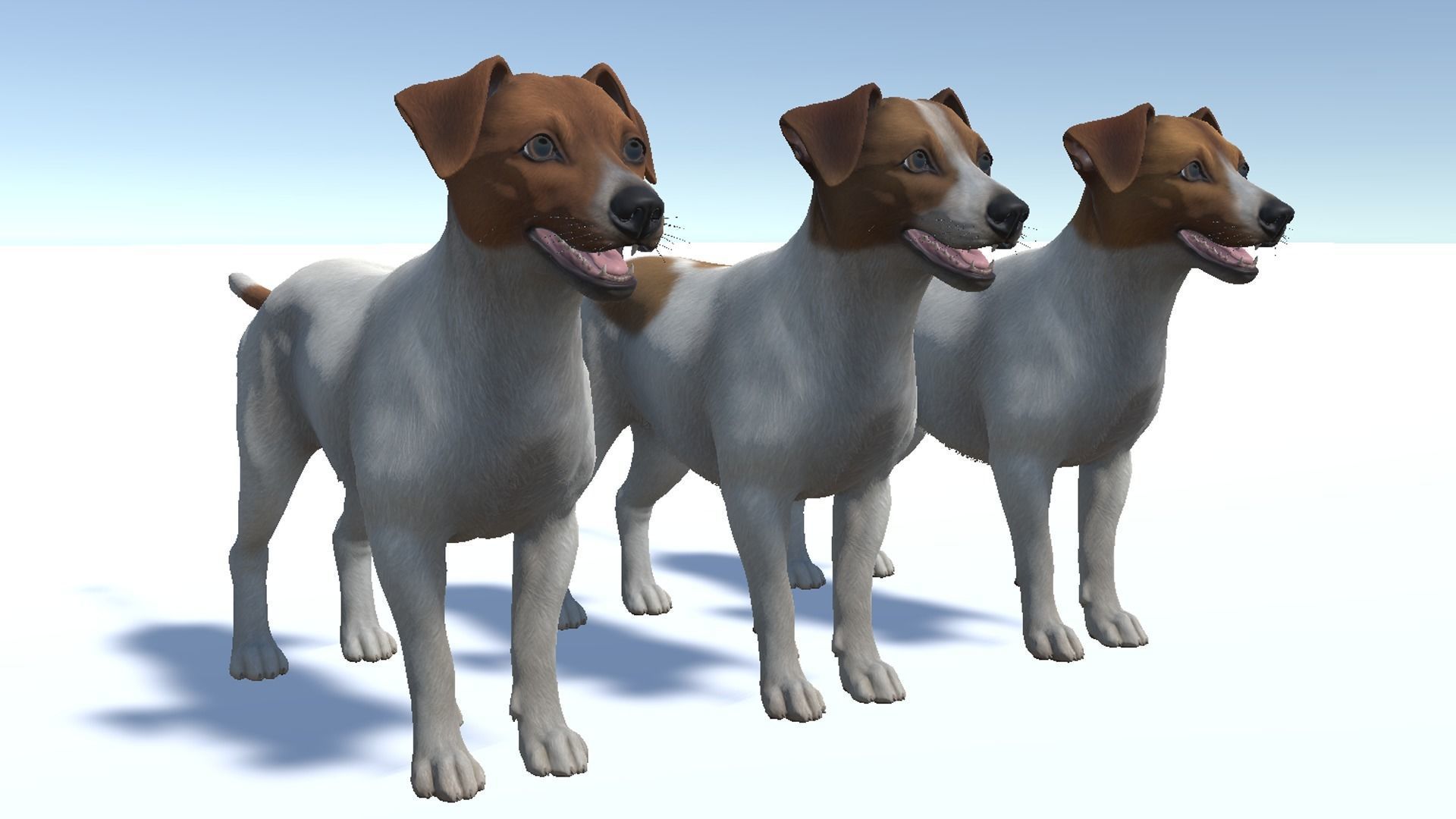 Dog - Jack Russell Terrier Low-poly 3D model_8