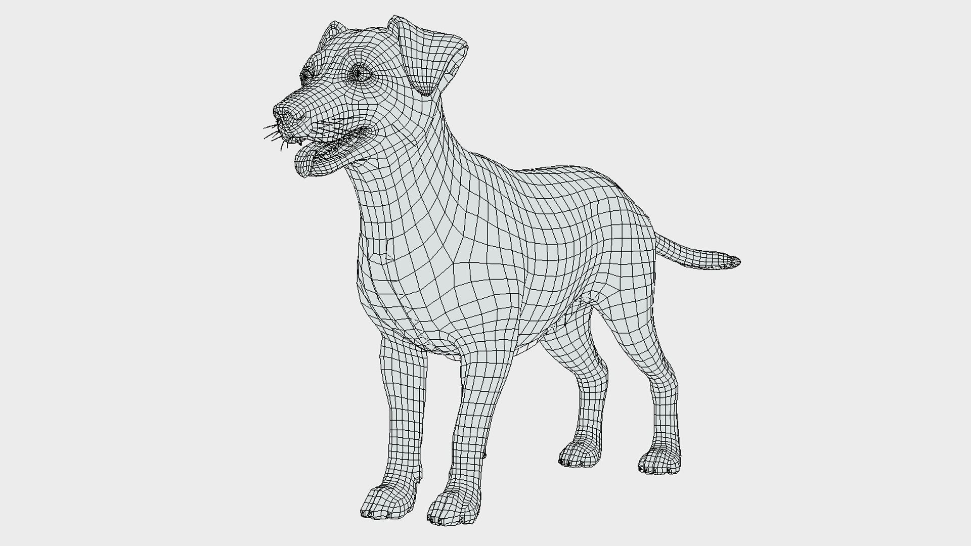 Dog - Jack Russell Terrier Low-poly 3D model_14