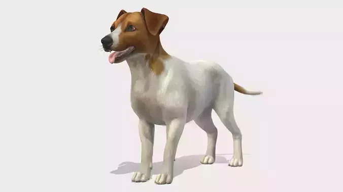 Dog - Jack Russell Terrier Low-poly 3D model