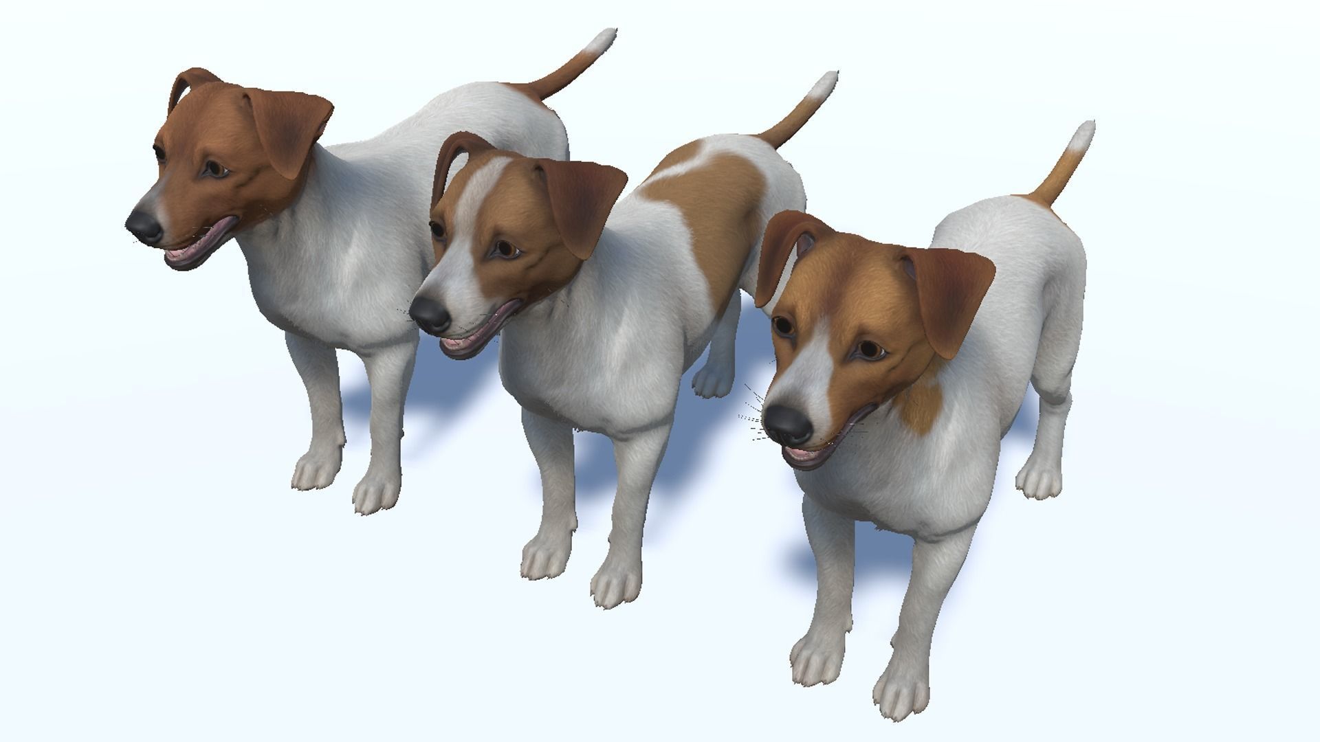 Dog - Jack Russell Terrier Low-poly 3D model_9