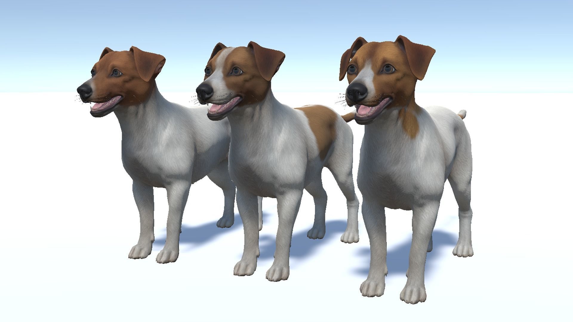 Dog - Jack Russell Terrier Low-poly 3D model_6
