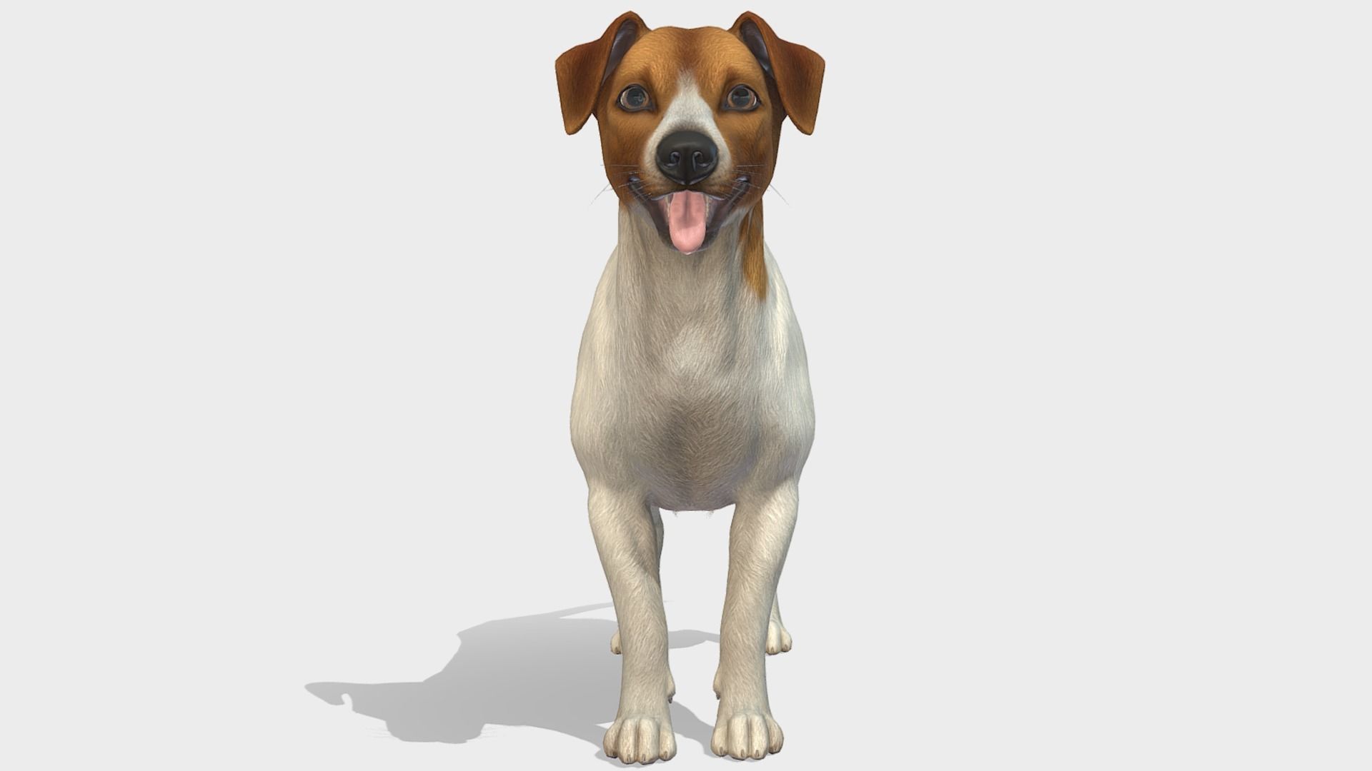Dog - Jack Russell Terrier Low-poly 3D model_3