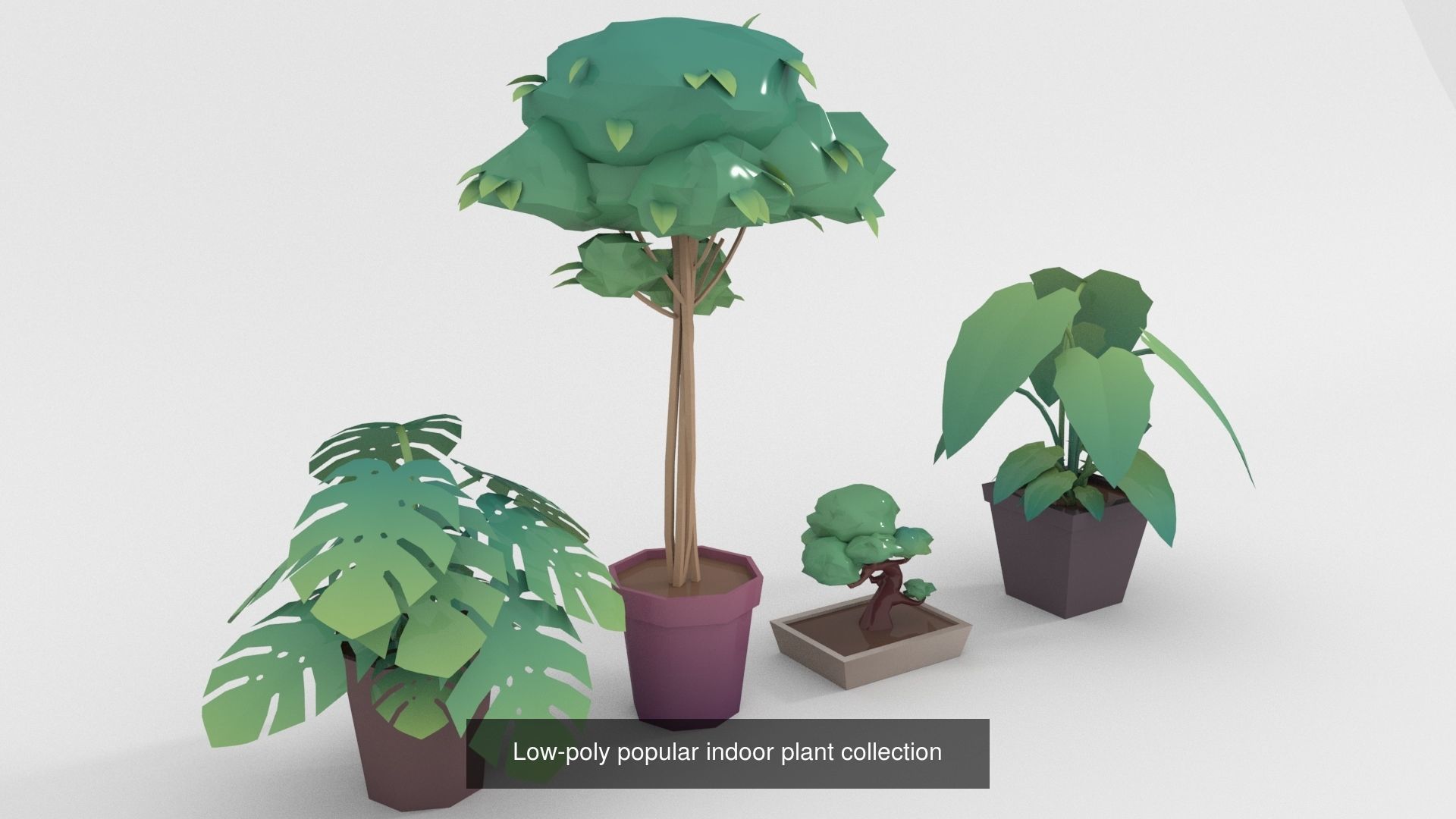 Low-poly Stylized vegetation collection _8