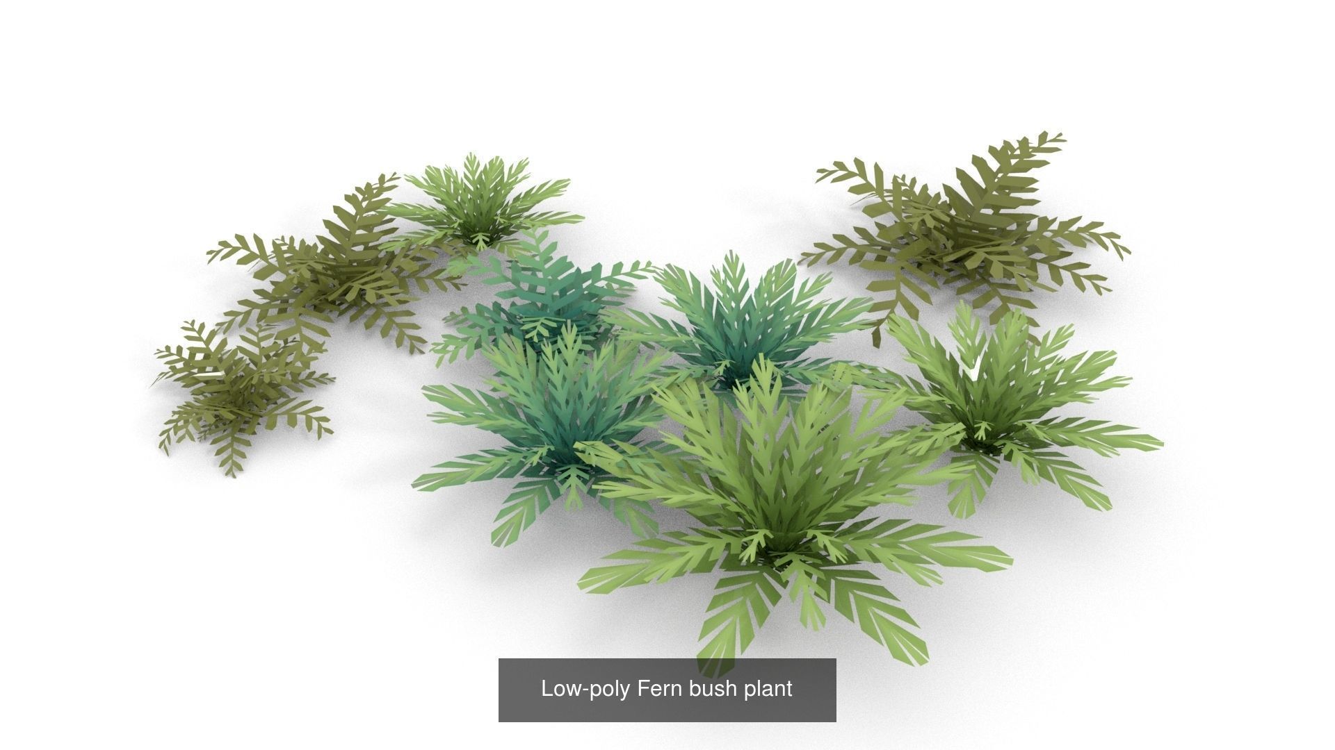 Low-poly Stylized vegetation collection _5